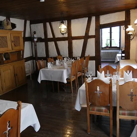 Hotel-restaurant Bibermuehle Gmbh 3* 特恩吉恩