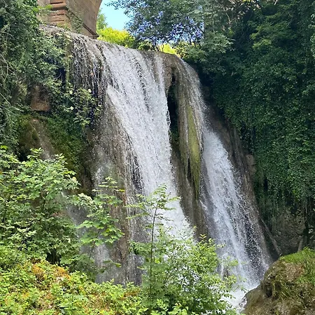 酒店 Hotel-restaurant Bibermuehle Gmbh 特恩吉恩