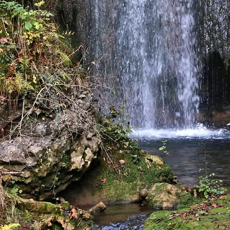 酒店 Hotel-restaurant Bibermuehle Gmbh 3*