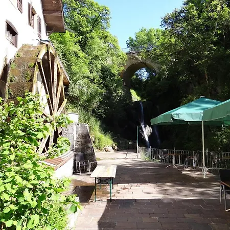 Hotel-restaurant Bibermuehle Gmbh 特恩吉恩