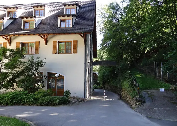 Hotel-restaurant Bibermuehle Gmbh 3* Tengen